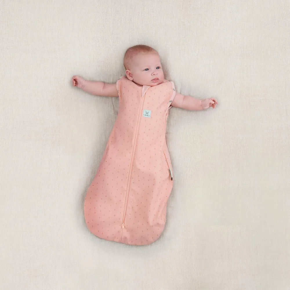 ergopouch Cocoon Swaddle Bag 1.0 Tog Berries